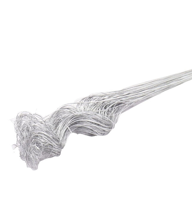 Silver-coloured dried curled grain of palm leaf | Curly Ting Ting dry decoration | Length 70 centimetres | Weight 200 grams | Available to order individually