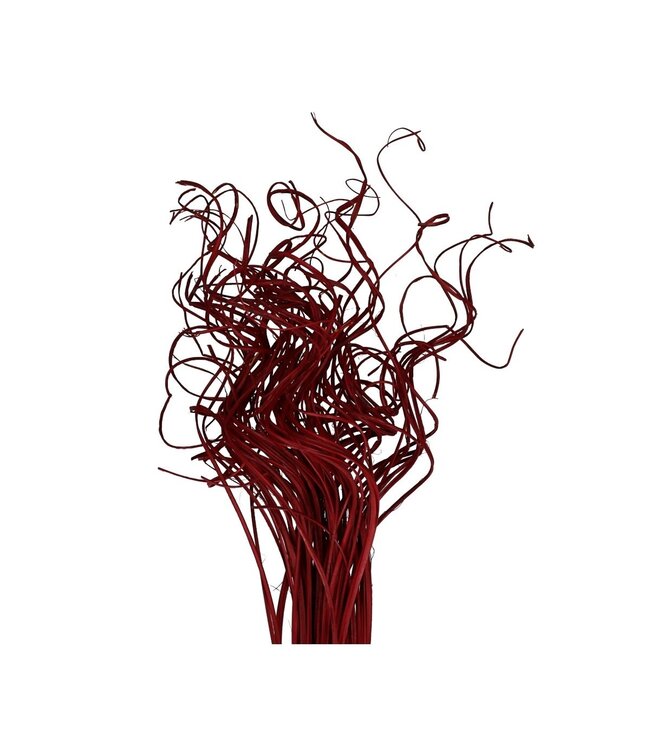 Red dried curled palm leaf vein | Curly Ting Ting dry decoration | Length 70 centimetres | Weight 200 grams | Available to order individually