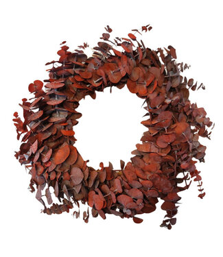 4A Couronne de bébé eucalyptus rouge préservé | Diamètre 35 centimètres | Par pièce