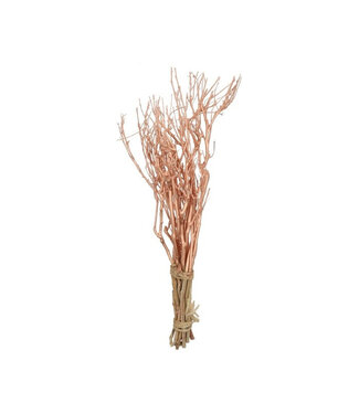 4A Fagot de branches de thé cuivrées | Longueur 65 centimètres | Par pièce