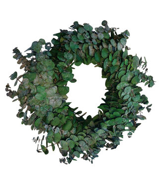 4A Green preserved Baby Eucalyptus wreath | Diameter 35 centimetres | Per piece