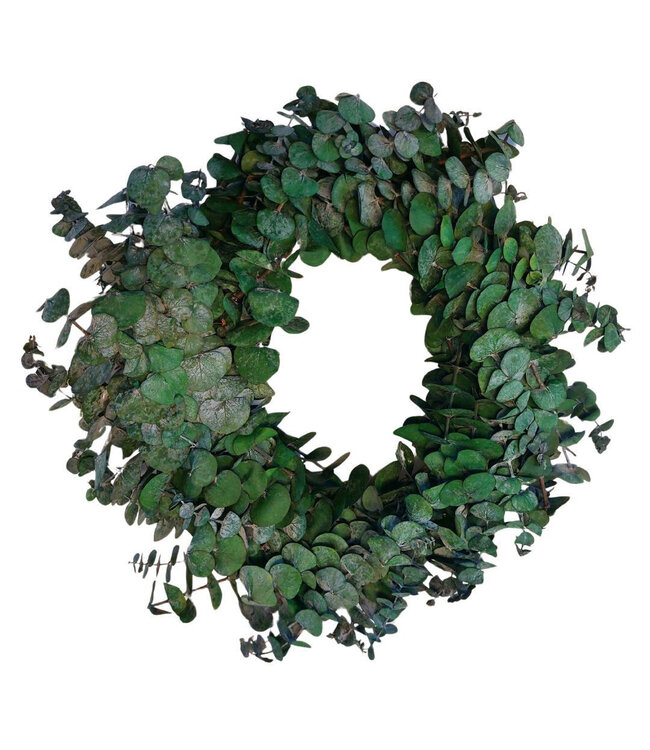 Green preserved Baby Eucalyptus wreath | Diameter 35 centimetres | Available to order individually