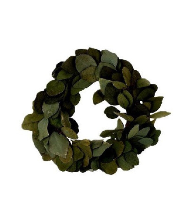 Groene gepreserveerde Eucalyptus Populus krans | Diameter 35 centimeter | Per stuk te bestellen