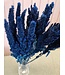 Amarante séchée bleu foncé | Amaranthus Cruentus fleurs séchées bleu foncé | Longueur ± 60 cm | Commande par bouquet