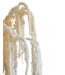 White Bleached Amaranthus Caudatus | Preserved | Length 50 - 80 centimetres | Available per piece