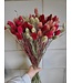 Red shades bouquet Canary Grass | Phalaris bouquet of dried flowers with red shades | Length ± 65 cm | Order by bouquet