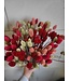 Red shades bouquet Canary Grass | Phalaris bouquet of dried flowers with red shades | Length ± 65 cm | Order by bouquet