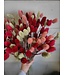 Red shades bouquet Canary Grass | Phalaris bouquet of dried flowers with red shades | Length ± 65 cm | Order by bouquet