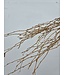Salmon-coloured dried birch branches | Length ± 70 cm | Available per bunch of 10 branches