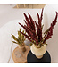 Amaranthus Cruentus rouge | Fleurs séchées de quenouille | Longueur 55 centimètres | Commande par bouquet