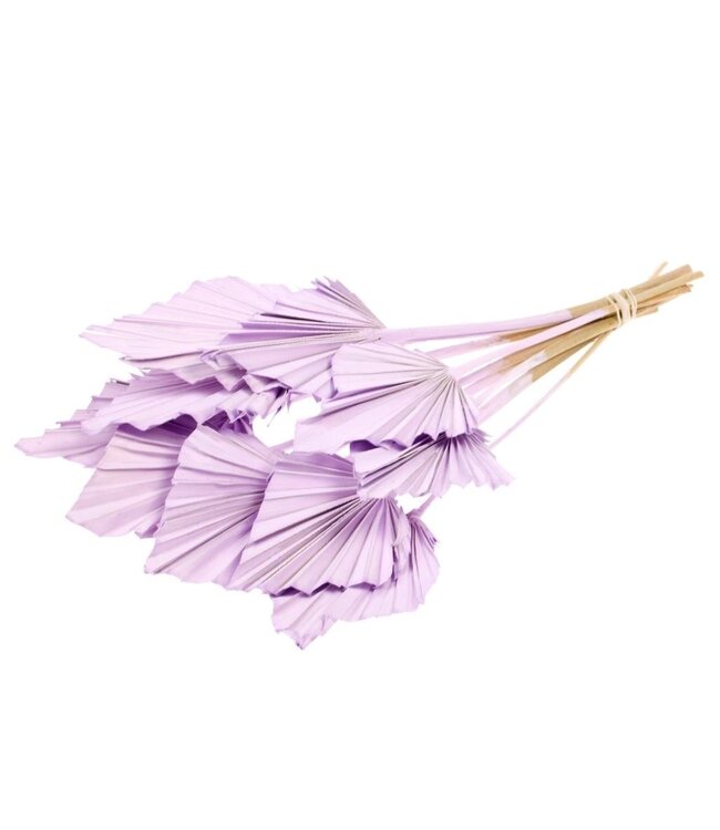 Feuille de palmier séchée Lilac Misty | Fleurs séchées Lilac Palm Spear | Longueur ± 45 cm | Commande par 10 branches