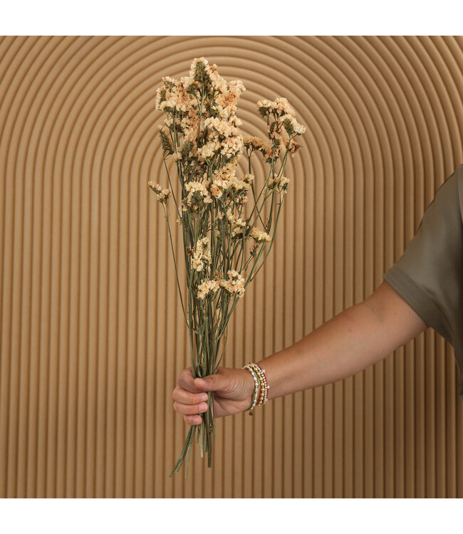 Lambsore séché de couleur saumon | Statice Sinuata fleurs séchées de couleur saumon | Longueur ± 70 centimètres | Peut être commandé par bouquet