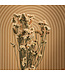 Salmon-coloured Dried Bulrush | Salmon-coloured Statice Sinuata dried flowers | Length ± 70 centimetres | Can be ordered per bunch