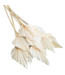 Bleached Palm Spear branches | Length 50 centimetres | Width 8 - 10 centimetres | Available to order per 10 pieces