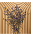 Lavande de mer séchée bleue | Fleurs séchées Limonium Diamond bleu | Longueur ± 70 cm | Commande par 5 tiges