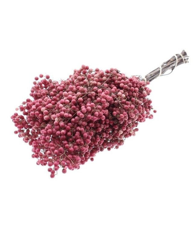 Baies de poivre rose séchées | Décoration de séchage Schinus rose | Longueur ± 30 cm | Commande par botte