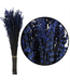 Lavande Bleu Foncé Préservée | Longueur 45 centimètres | 150 grammes | À commander par bouquet