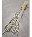 Weicher weißer getrockneter Weizen | Triticum Trockenblumen | Länge 60-70 Zentimeter | Pro Bund bestellbar