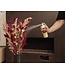 Profitez Plus Longtemps | Spray Professionnel pour Fleurs Séchées | 300 cc | Disponible à l'unité