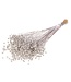 Silver dried flax | Silver dried Linum flowers | Length ± 55 cm | Order per bunch
