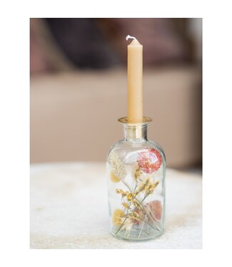 MyFlowers Orangefarbene und gelbe getrocknete Blumen in Kerzenhalter aus Glas | Höhe 16 Zentimeter | Pro Stück