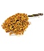 Yellow dried pepper berries | Yellow Schinus drying decoration | Length ± 30 cm | Order per bundle