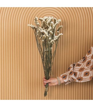 MyFlowers White Dried Curved Sea Lavender | White Statice Sinuata Dried Flowers | Length ± 70 centimetres | Per bunch