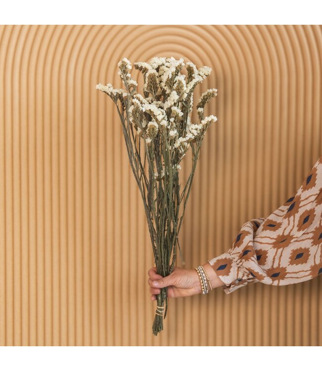 Weißes getrocknetes buschiges Lammohr | Weiße getrocknete Blüten von Statice Sinuata | Länge ± 70 Zentimeter | Bestellung pro Strauß