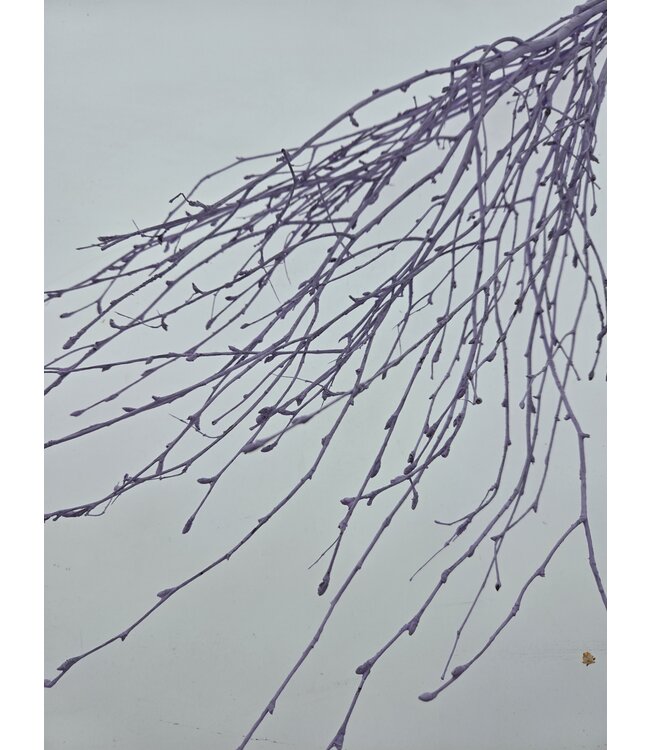Lilac Misty dried birch branches | Length ± 60 cm | Order per bunch of 10 branches