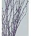 Lilac Misty dried birch branches | Length ± 60 cm | Order per bunch of 10 branches
