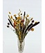 Bouquet de fleurs séchées Rétrospective M | Bouquet sec aux couleurs nostalgiques | Longueur 60 cm | Commande par bouquet