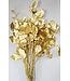 Goudkleurig Salal blad droogbloemen | Lengte 50 centimeter | Per bos te bestellen