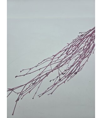 MyFlowers Pink Misty dried birch branches | Length ± 60 cm | Per bunch of 10 branches