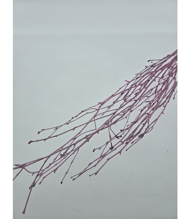 Pink Misty dried birch branches | Length ± 60 cm | Order per bunch of 10 branches