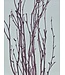 Pink Misty dried birch branches | Length ± 60 cm | Order per bunch of 10 branches