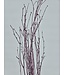 Pink Misty dried birch branches | Length ± 60 cm | Order per bunch of 10 branches