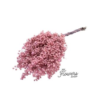 MyFlowers Zartrosa getrocknete Pfefferbeeren | Zartrosa Schinus Trocknungsdekoration | Länge ± 30 cm | Pro Bündel