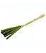 Babala vert séchée | Millet perlé fleurs séchées | Longueur ± 75 centimètres | Commande par 10 pièces