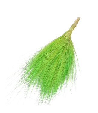 MyFlowers Green Barba de Bode | Goat Grass Dried Flowers | Length ± 55 centimetres | Per bunch