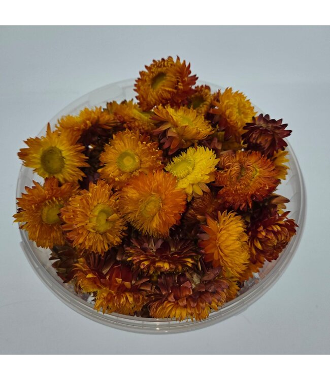 Têtes d'Hélichrysum orange | Dans un seau refermable pratique | À commander par 100 grammes