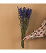 Blauw gedroogd Ridderspoor | Delphinium droogbloemen | Lengte 70 centimeter | Per bos te bestellen