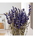 Blauw gedroogd Ridderspoor | Delphinium droogbloemen | Lengte 70 centimeter | Per bos te bestellen