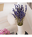 Blauw gedroogd Ridderspoor | Delphinium droogbloemen | Lengte 70 centimeter | Per bos te bestellen