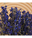 Larkspur bleu séché | Delphinium fleurs séchées | Longueur 70 centimètres | Commande par bouquet