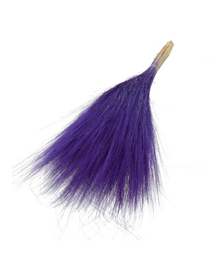 MyFlowers Purple Barba de Bode | Goat Grass dried flowers | Length ± 55 centimetres | Per bunch