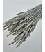 Blé séché White Misty | Fleurs séchées Triticum White Misty | Longueur ± 70 centimètres | Commande par botte