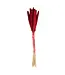 Dried cerise Babala | Pearl millet dried flowers | Length ± 75 centimetres | Available to order per 10 pieces