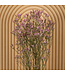 Lavande de mer séchée vieux rose | Fleurs séchées Limonium Diamond vieux rose | Longueur ± 70 cm | Commande par 5 tiges