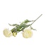 White Ranunculus silk flower "White Ranunculus" | Stem with 3 flowers | Length 50 centimetres | Available per stem
