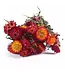 Getrockneter roter Helichrysum | Rote getrocknete Strohblumen | Länge 55 Zentimeter | Bestellung pro Stück